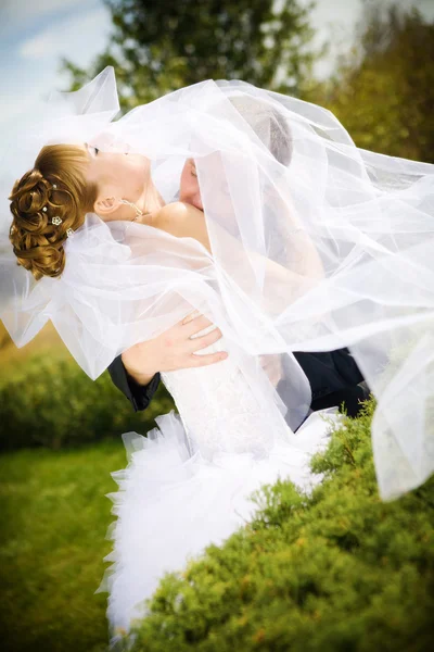 Beso de novia y novio — Foto de Stock