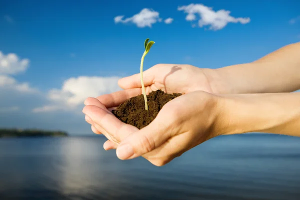 Leben in der Hand — Stockfoto