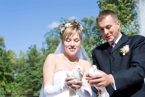 Dos palomas y una pareja recién casada — Foto de Stock