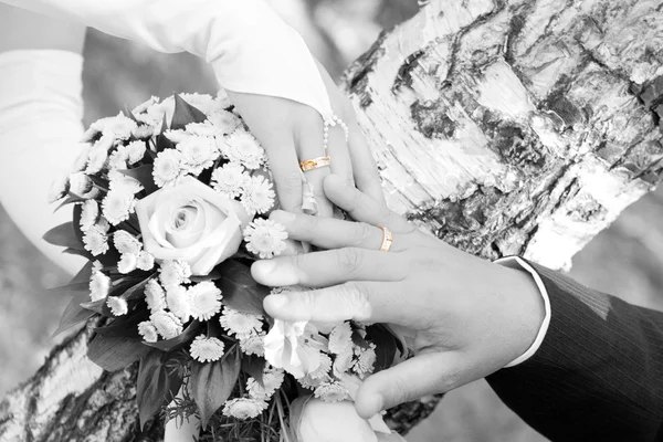 Anéis de casamento dourados em uma imagem blackground — Fotografia de Stock