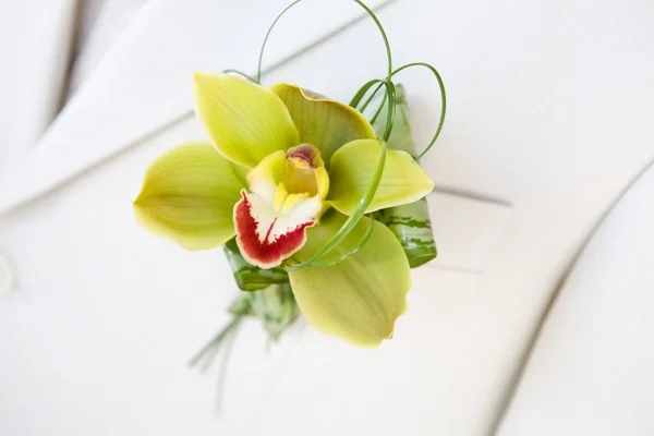 Buttonhole — Stock Photo, Image