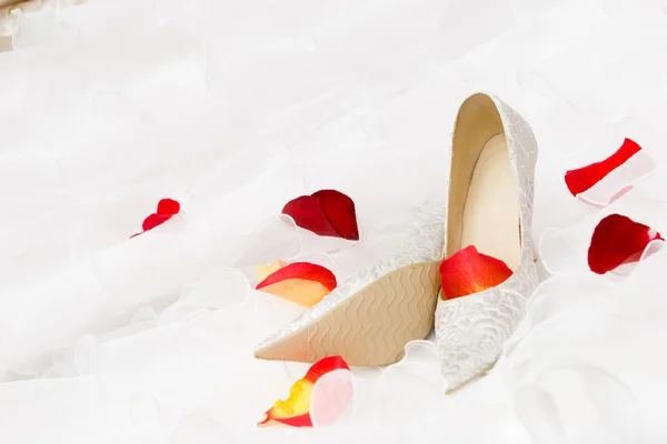 Hochzeitsschuhe und Rosenblätter — Stockfoto