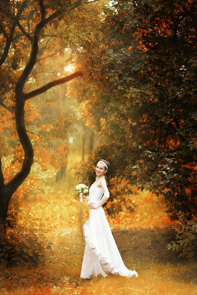 Sposa sulla foresta autunnale — Foto Stock