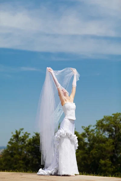 Невеста и вуаль — стоковое фото
