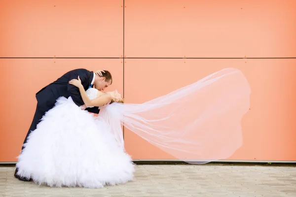 Kiss of bride and groom — Stock Photo, Image