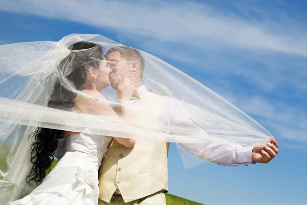 Bacio di sposa e sposo — Foto Stock