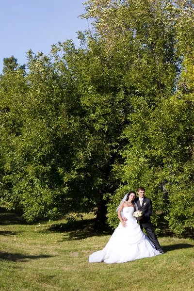 Première danse de mariée et marié — Photo