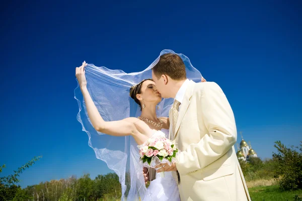 Kyssa bruden och brudgummen Stockfoto