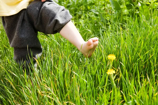 Passaggi di bambino in estate — Foto Stock