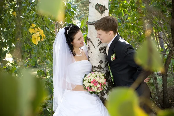Um jogo de um casal recém-casado perto do vidoeiro — Fotografia de Stock