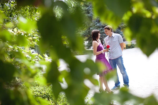 Pareja caminando en el parque —  Fotos de Stock