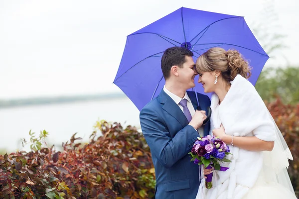 Noiva e noivo sob guarda-chuva — Fotografia de Stock