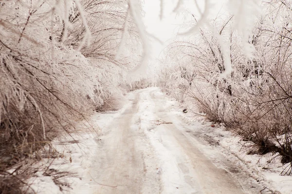 Winter road toned in sepia — Stock Photo, Image