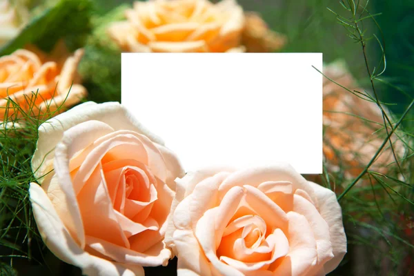 Bianco di carta e fiori — Foto Stock