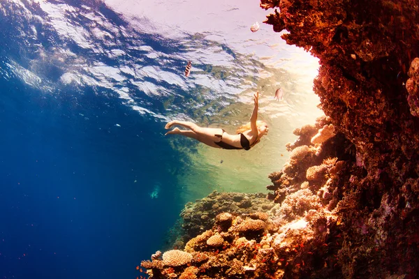 Fille et coraux dans la mer — Photo