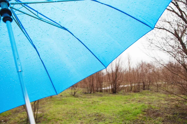 Rainy umbrella in the park — Stock Photo, Image