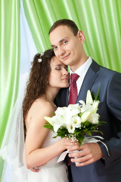 Bride and groom Royalty Free Stock Photos