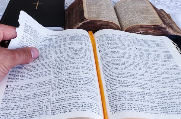 Studium der Bibel — Stockfoto