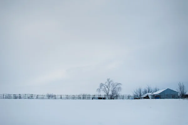 Minimalismo invierno — Foto de Stock