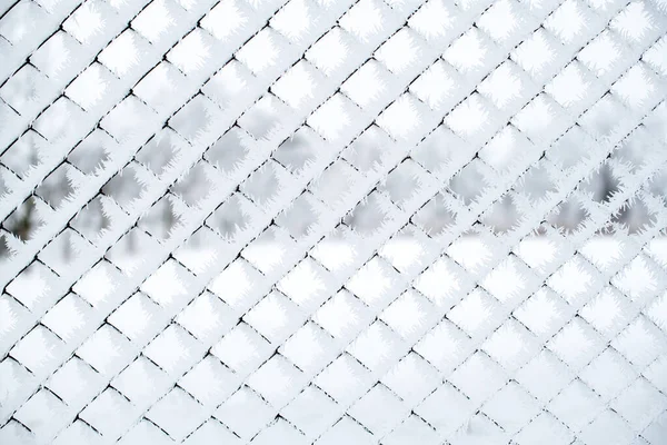 Valla Malla Cubierta Con Una Gruesa Capa Nieve Blanca Fresca —  Fotos de Stock