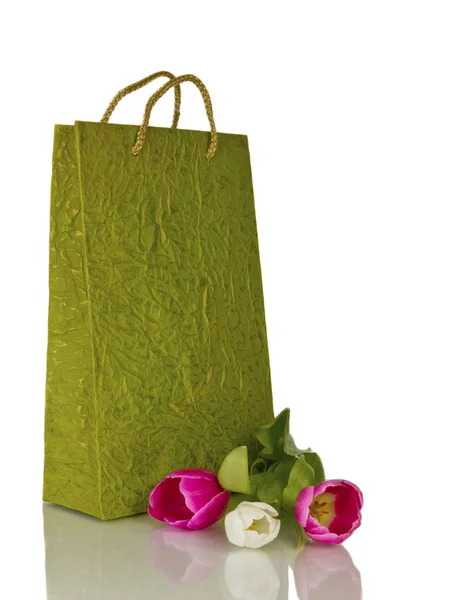 Green Gift Bag — Stock Photo, Image