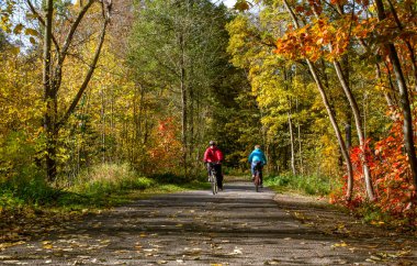 İnsanlar sonbahar parkında bisiklet sürerler. Güzel sonbahar manzarası, güneşli bir günde ön planda kuru sarı yapraklar. Sonbahar ormanında sarı ağaçlar. Etkin yaşam tarzı kavramı.