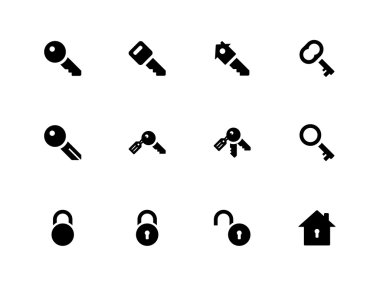 iconos claves sobre fondo blanco.