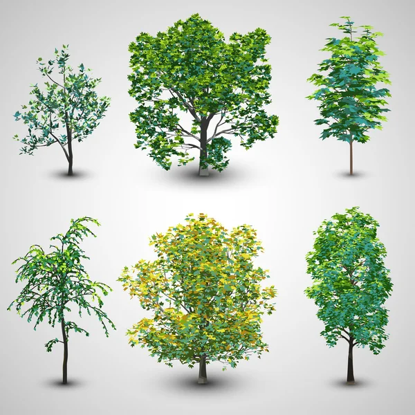 Conjunto de árboles — Vector de stock
