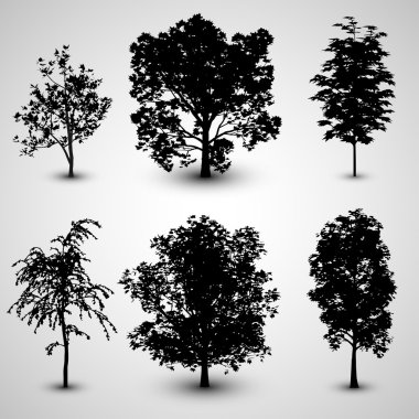 ağaç siluetleri set
