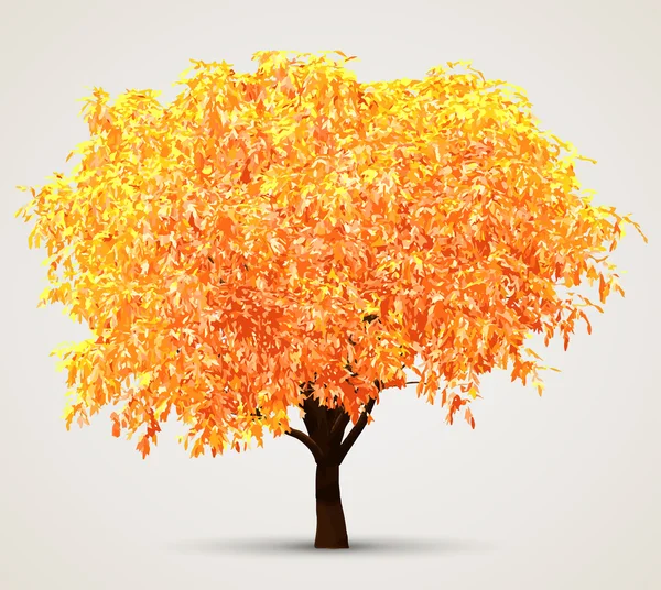 Осеннее дерево с солнечным светом — стоковый вектор