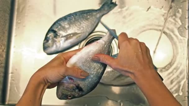 Dorado Escamas Pescado Limpieza Manos Cerca — Vídeos de Stock