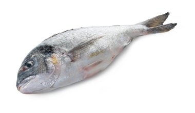 Beyaz yalıtılmış arka planda çiğ dorado balığı