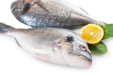 Beyaz arka planda limonlu çiğ dorado balığı.