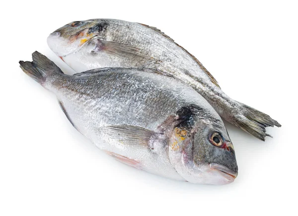 Сырая Рыба Дорадо Белом Изолированном Фоне — стоковое фото