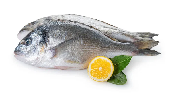 Pescado Dorado Crudo Sobre Fondo Blanco Aislado —  Fotos de Stock