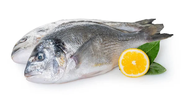 Roher Dorado Fisch Auf Weißem Isoliertem Hintergrund — Stockfoto