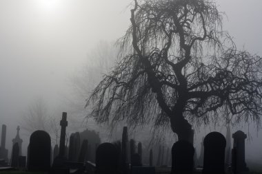Spooky old cemetery on a foggy day clipart