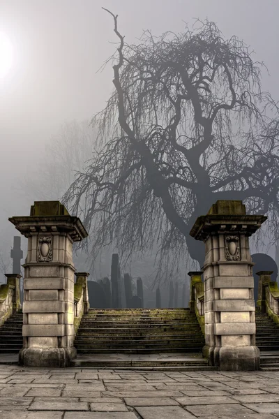 Vecchio cimitero spettrale in una giornata nebbiosa — Foto Stock