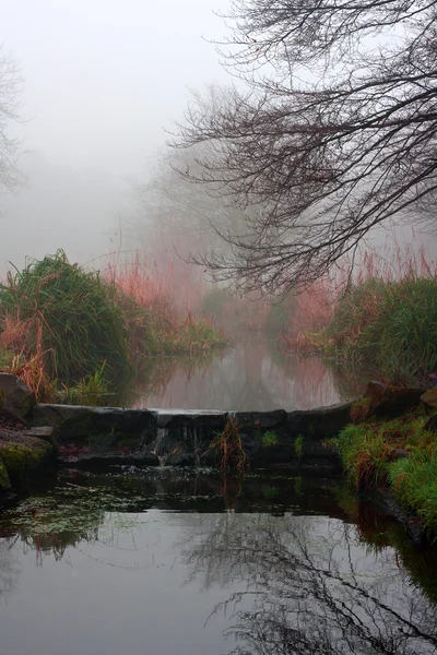 Pequena cachoeira de fluxo em um dia de invernos nebulosos — Fotografia de Stock