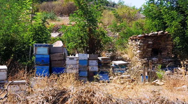 Bienenstöcke werden auf einem Feld gelagert — Stockfoto