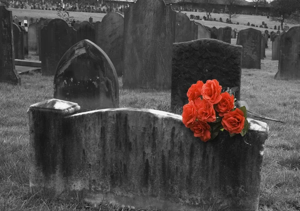 Lápida en blanco en el cementerio con racimo de rosas rojas —  Fotos de Stock