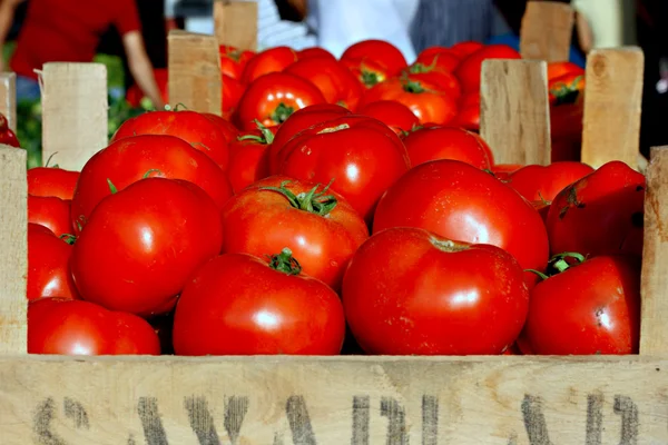 Organické rajčata na stánku v tržnici — Stock fotografie