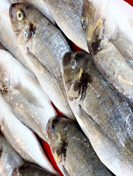 Peixe recentemente capturado para venda no mercado de rua turco — Fotografia de Stock