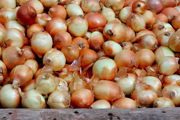 Kleine uien te koop bij straatmarkt — Stockfoto