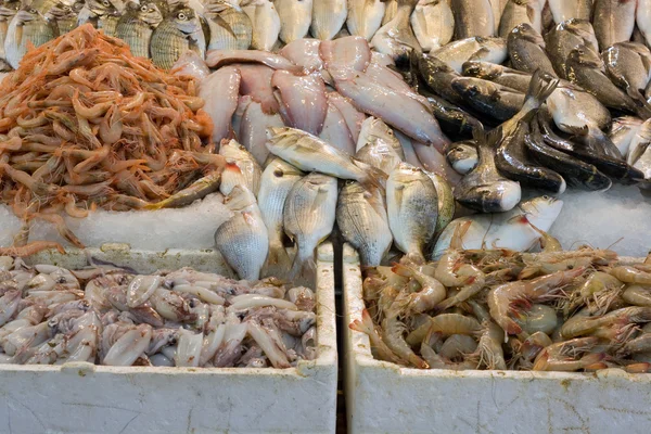 Peixe recentemente capturado para venda no mercado de rua turco — Fotografia de Stock