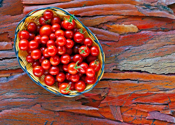 Cesta de tomates cherry maduros sobre corteza rústica pelada —  Fotos de Stock