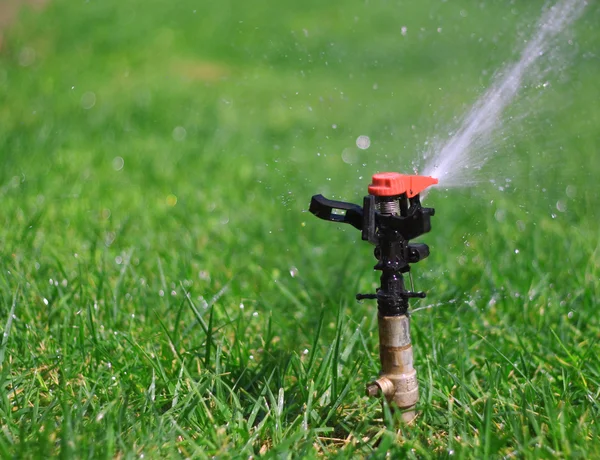 Trädgård gräsmatta vatten sprinkler — Stockfoto