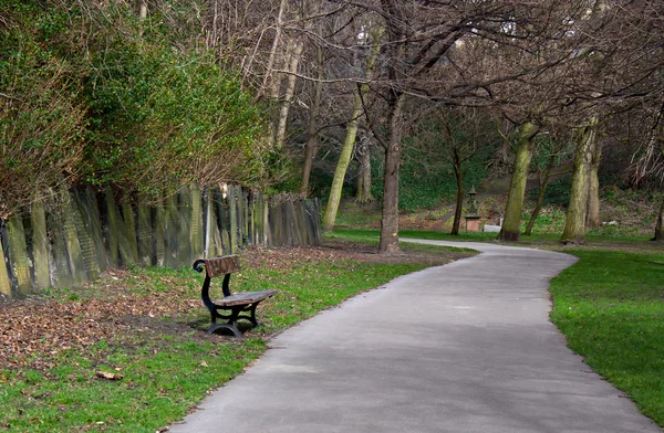 Lone bänk i kyrkogård — Stockfoto