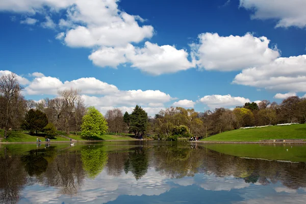 Bahar, geniş görüş gölde doğal park — Stok fotoğraf