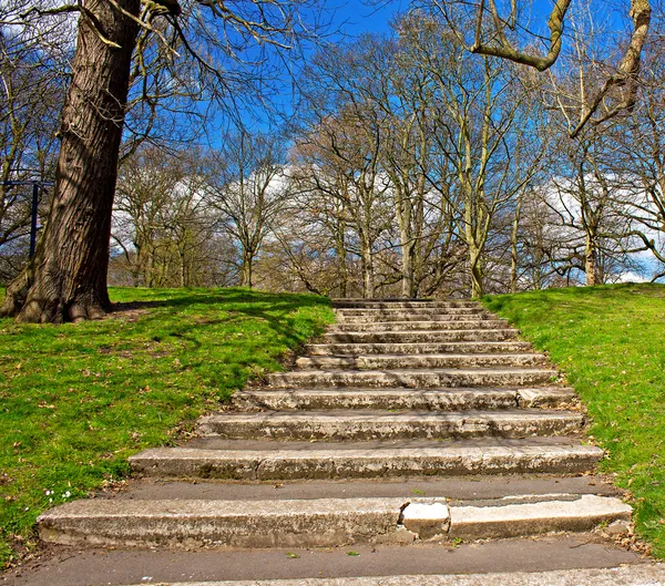 Green grass and steps against blue sky in early spring — Stock Photo, Image